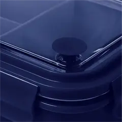 Lunch box