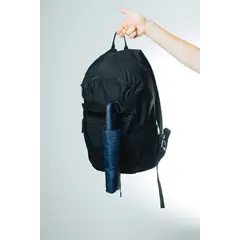 Umbrella with carabiner