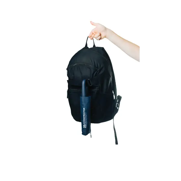Umbrella with carabiner